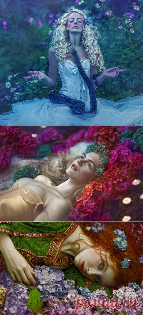 Это не фотографии. Это чистое колдовство