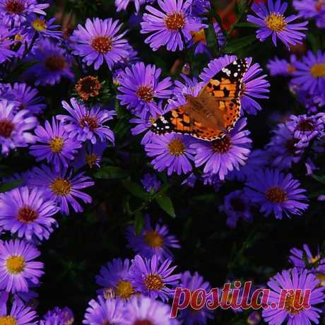 Хорошего Всем воскресного дня!😘😘😘