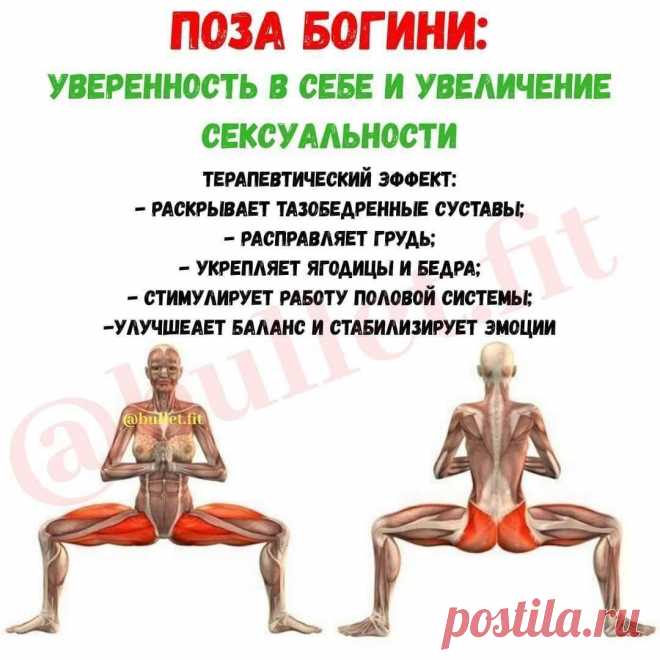 Йoгa для здopoвoгo opгaнизмa
