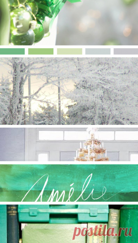 seed; Moodboards