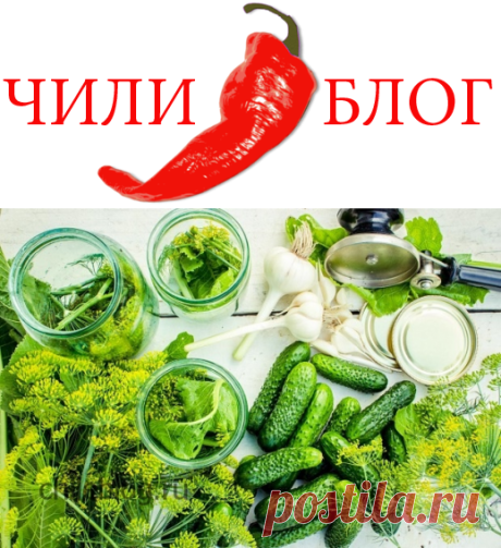 Рецепт огурцов - заготовки на зиму на ЧИЛИ БЛОГ