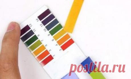 Защелачивание и закисление организма. Продукты(таблица) А знаете ли вы, что периодически надо проверять наш организм на защелачивание и закисление. При выявлении, можно потом регулировать уровень pH окружающими нас продуктами.