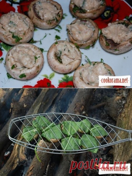 Котлета в шампиньоне .