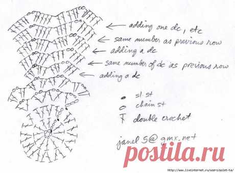 Лариса Эверт