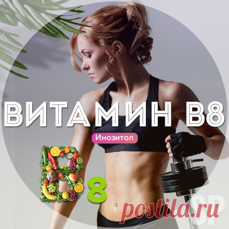 Витамин B8 (Инозитол). Задачи и потребности | SportivnoePitanie.Ru | Дзен