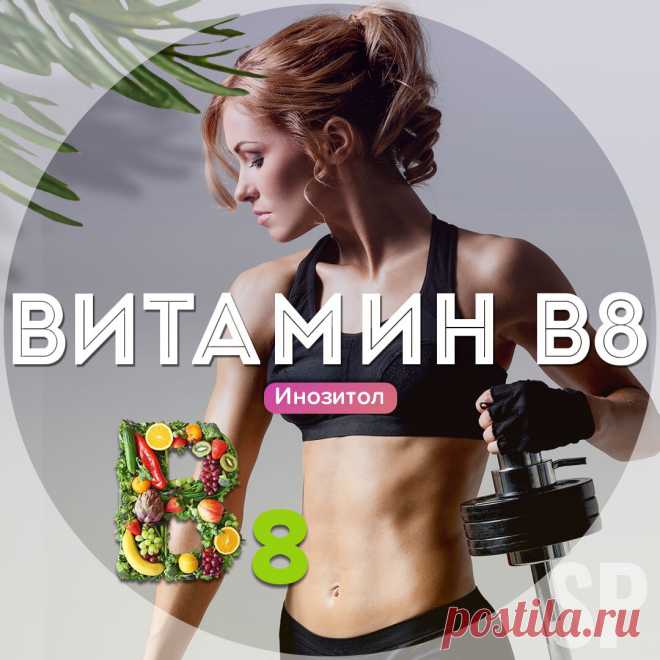 Витамин B8 (Инозитол). Задачи и потребности | SportivnoePitanie.Ru | Дзен