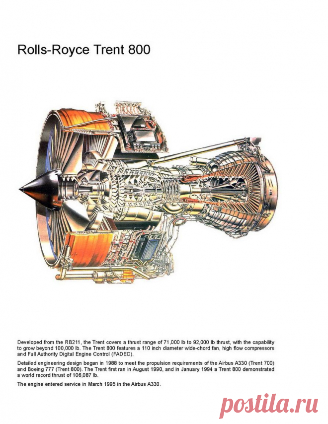 60ee0338b5df49f66570549753f.jpg (893×1155)