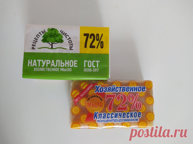 Листья комнатных цветов блестят как новенькие. Расскажу как отмыть налет и пыль с листьев растений | Домадил - DomaDeaL.Ru | Яндекс Дзен
