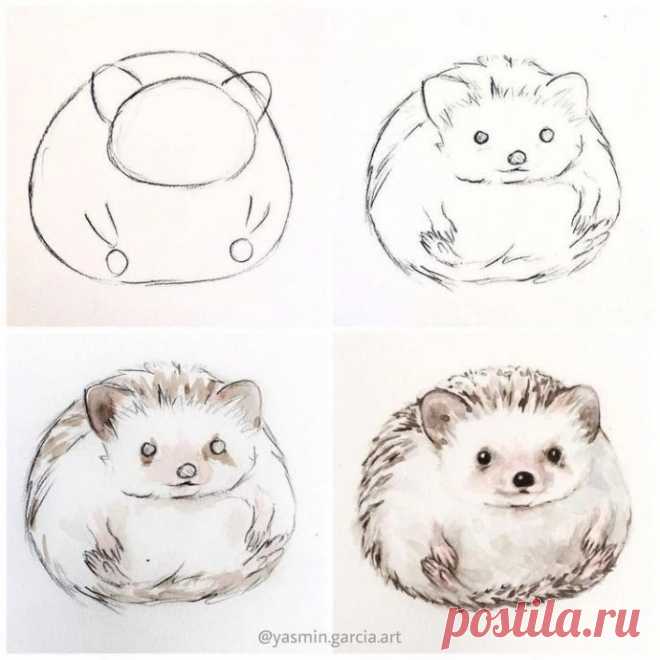Рисуем животных