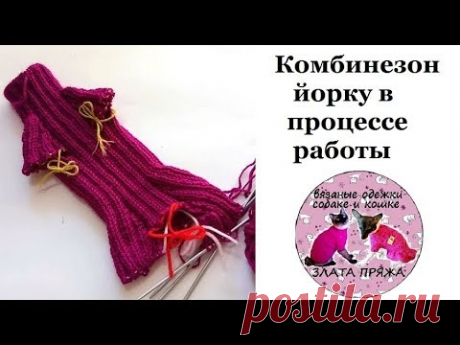 53. Комбинезон для йорка в процессе работы