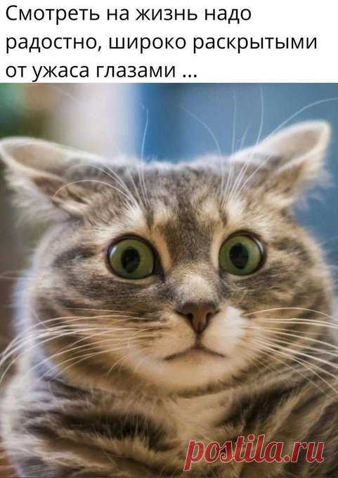 Оксана SK (@Oxana_SK) / X