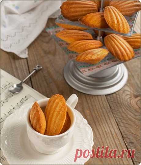 Madeleine