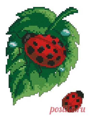 схемы букашек - Пошук Google