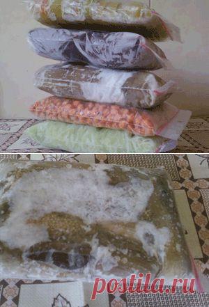 Правила заморозки овощей и фруктов.