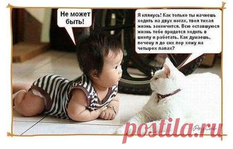 Мой Мир@Mail.Ru