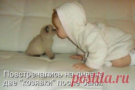 Я не стерва, это нервы©