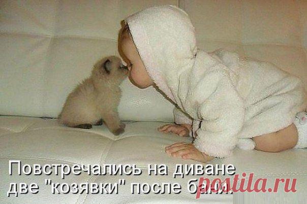 Я не стерва, это нервы©