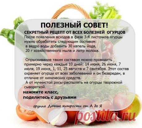 Одноклассники