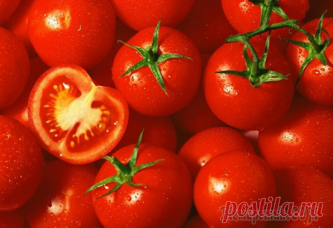 Сроки созревания урожая: ускоряем процесс