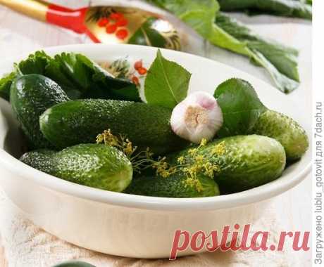 Малосольные огурцы за один день: 3 быстрых рецепта