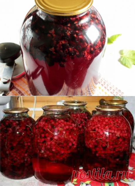 Компот из чёрной смородины на зиму, рецепты