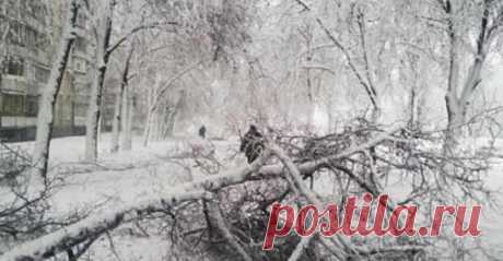 В Харькове из-за стихии упало 700 деревьев 
Шесть детских садов, две школы и 40 многоквартирных домов были обесточены в Харькове из-за стихии, которая произошла 18-19 апреля.
Об этом сегодня, 19 апреля, на сессии Харьковского городского совета сообщил городской голова Геннадий Кернес.
Также обесточено более тысячи частных домов. Как отметил городской голова, из-за стихии в городе упало 700 деревьев и более 2 тыс. крупных веток. 
«Нам сейчас нужно работать и ликвидировать последствия стихии»,