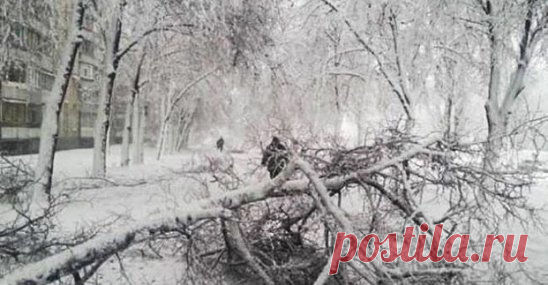 В Харькове из-за стихии упало 700 деревьев 
Шесть детских садов, две школы и 40 многоквартирных домов были обесточены в Харькове из-за стихии, которая произошла 18-19 апреля.
Об этом сегодня, 19 апреля, на сессии Харьковского городского совета сообщил городской голова Геннадий Кернес.
Также обесточено более тысячи частных домов. Как отметил городской голова, из-за стихии в городе упало 700 деревьев и более 2 тыс. крупных веток. 
«Нам сейчас нужно работать и ликвидировать последствия стихии»,