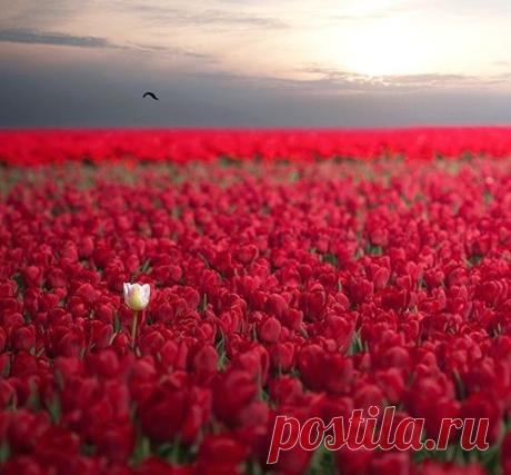 20 снимков невероятной природной красоты (22 фото)
