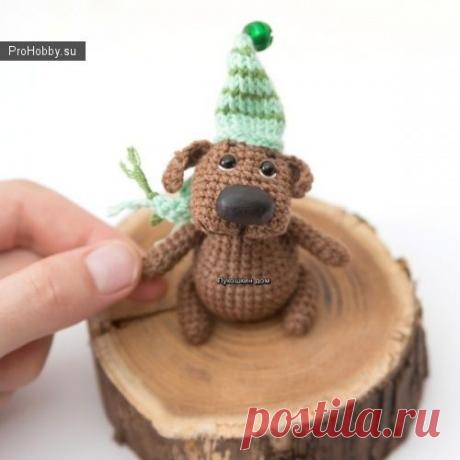 Вкус приключений: собака-амигуру-кулинар