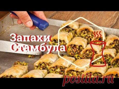 Kiss-kiss me: как Стамбул стал кошачьим раем