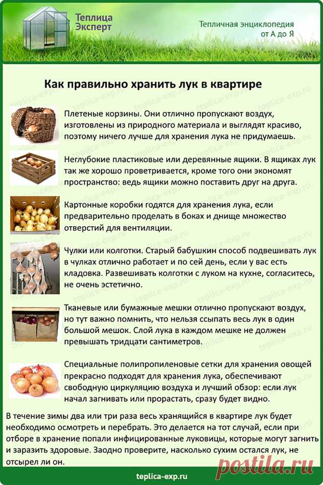 Как правильно хранить лук в квартире