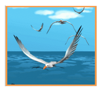 Yalcin Biricik – Google+