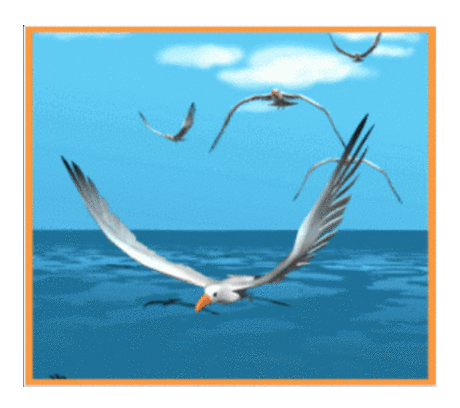 Yalcin Biricik – Google+