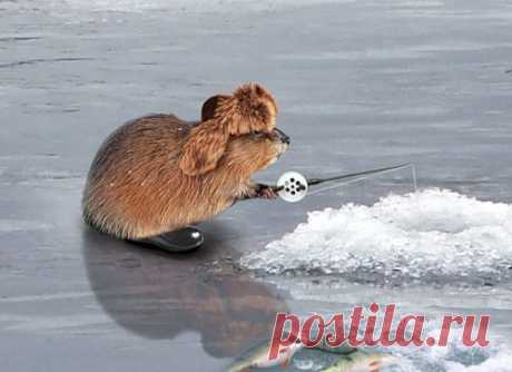 Мой Мир@Mail.Ru