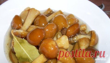 Маринованные опята в собственном соку - пошаговый кулинарный рецепт на Повар.ру