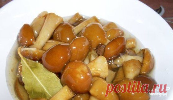 Маринованные опята в собственном соку - пошаговый кулинарный рецепт на Повар.ру