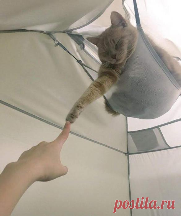 Я тебе доверяю!