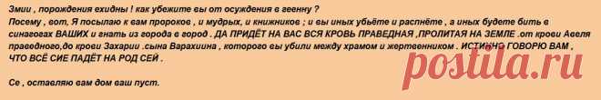 Блог Кота Моти.