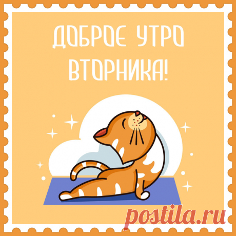 Картинка с кошкой на доброе утро вторника. Привет, я автор этой открытки Анна Кузнецова.
Если вам понравилась картинка, то на сайте СанПик вы найдёте сотни открыток для WhatsApp и Viber на все случаи жизни моей работы.