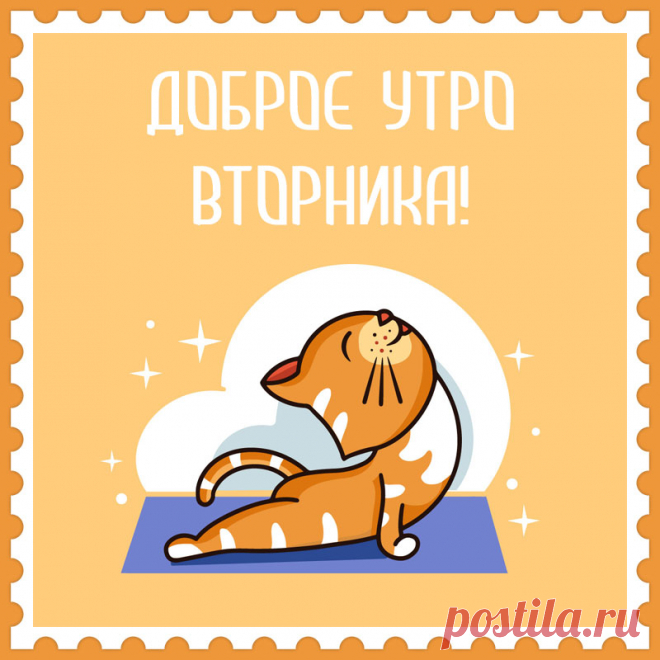 Картинка с кошкой на доброе утро вторника. Привет, я автор этой открытки Анна Кузнецова.
Если вам понравилась картинка, то на сайте СанПик вы найдёте сотни открыток для WhatsApp и Viber на все случаи жизни моей работы.