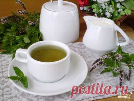 Чай с мятой для похудения - пошаговый рецепт с фото на Повар.ру