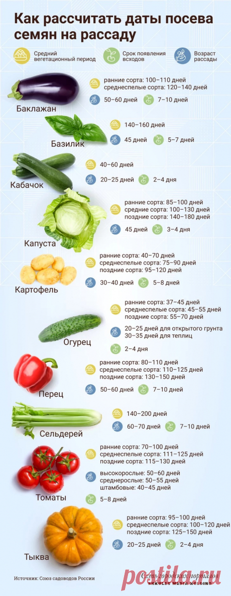 Как рассчитать даты посева семян на рассаду