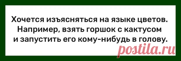 Подборка легкого юмора для заряда позитивом - Смехотерапия - 26 марта - 43606248124 - Медиаплатформа МирТесен