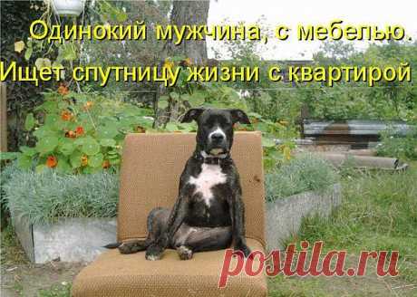 в вечном поиске