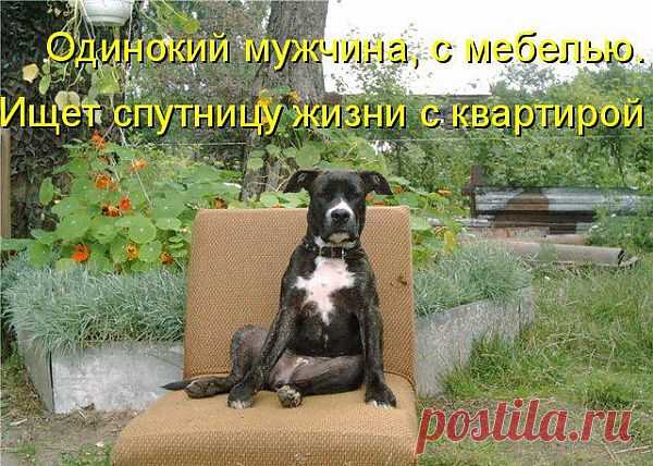 в вечном поиске