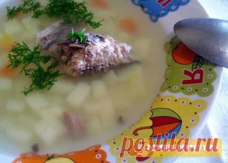 Быстрый и вкусный суп из рыбной консервы - рецепт | ДЕТСКИЕ РЕЦЕПТЫ, БЛЮДА