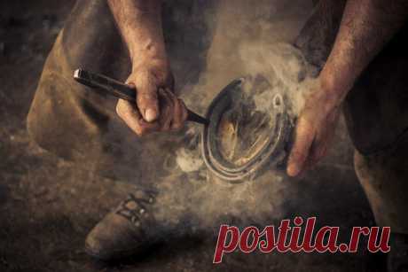 Никогда подкова не принесёт тебе счастья и удачу, пока не прибьёшь её к своему копыту и не начнёшь пахать, как лошадь! / Понимание бизнеса