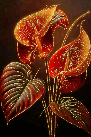 Каллы