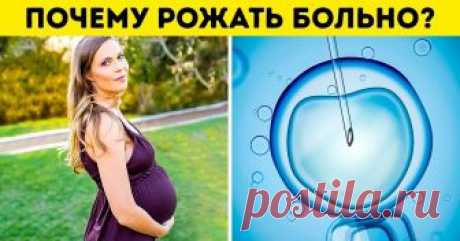 10 ошибок в строении человеческого тела, которые создают нам немало проблем Человек устроен очень разумно. Но эволюция не создает совершенство, а только производит функции, считает антрополог из Принстонского университета Алан Манн. На фоне огромного количества слаженно работающих органов в нашем теле есть и недоработки. Впрочем, большинство из них связаны с непростым процессом эволюции.