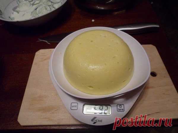 Быстро, вкусно и недорого: готовим домашний сыр / Как сэкономить